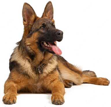 Adivinanzas Cortas 23 adivinanzas cortas