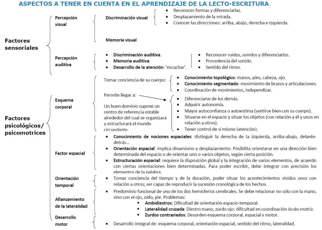 actividades metodo global