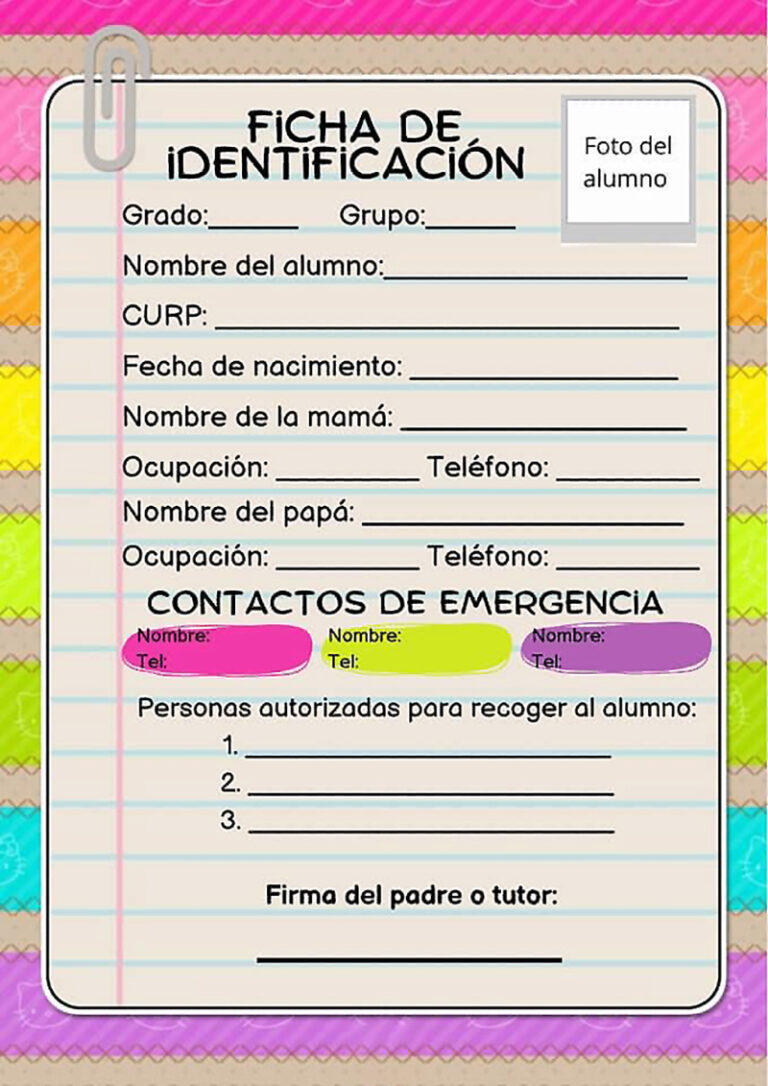 Ejemplos De Ficha De Identificación Escolar Para Primaria Material Educativo Y Material 8684