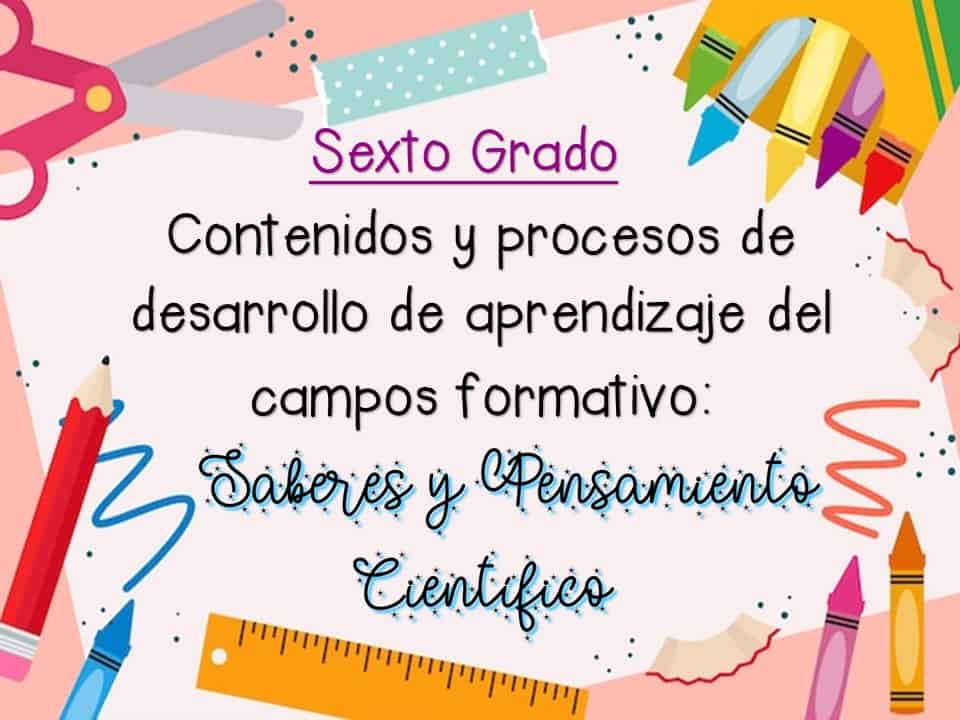 contenidos saberes y pensamiento científico 6°