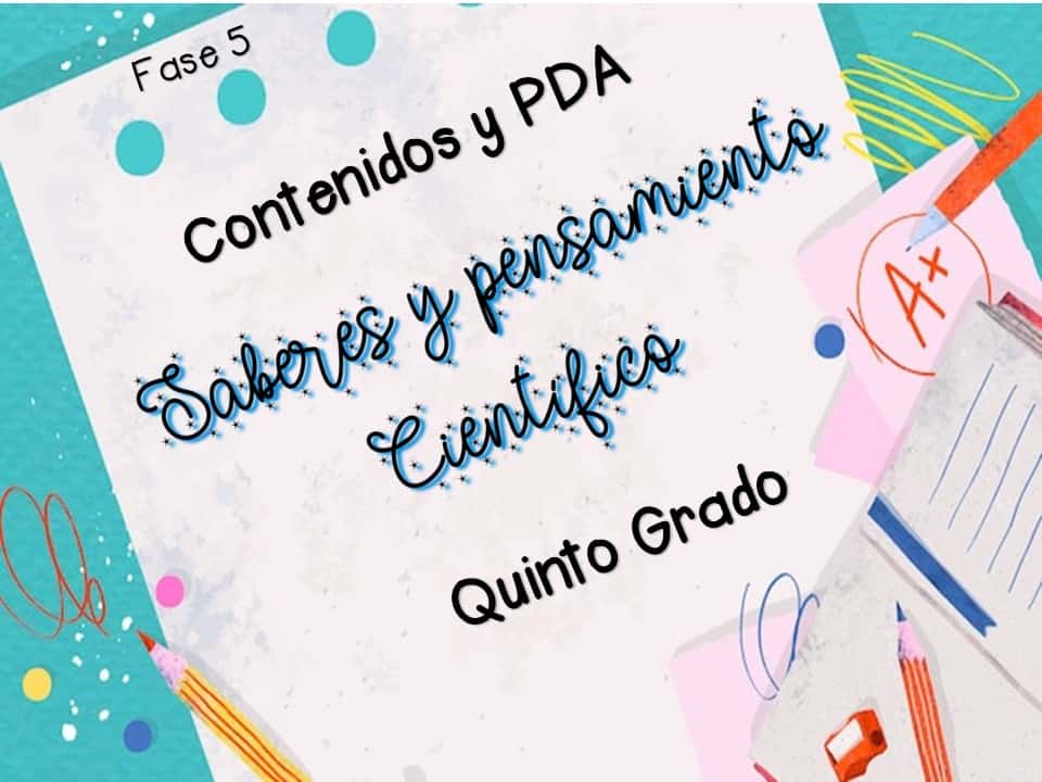 5° contenidos y pda 