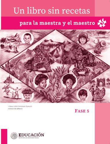 Un libro sin recetas fase 5