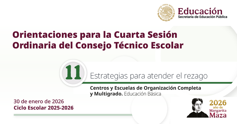 Tema 11. Estrategias para atender el rezago